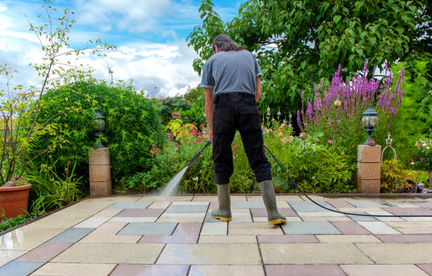 Professional Pressure Washing Services in Lake Isabella, CA